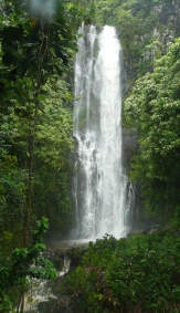 Waterfalls abound on the road to Hana